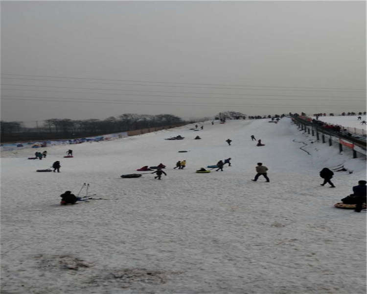 滑雪魔毯多少錢""