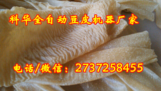 牛排豆皮機廠家