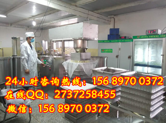 豆腐干加工機(jī)械設(shè)備