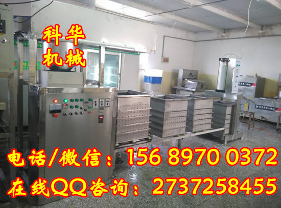 大型豆干加工機(jī)械設(shè)備