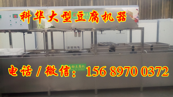 步進式豆腐機器價格