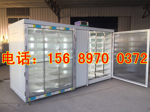 全自動芽苗菜機器價格