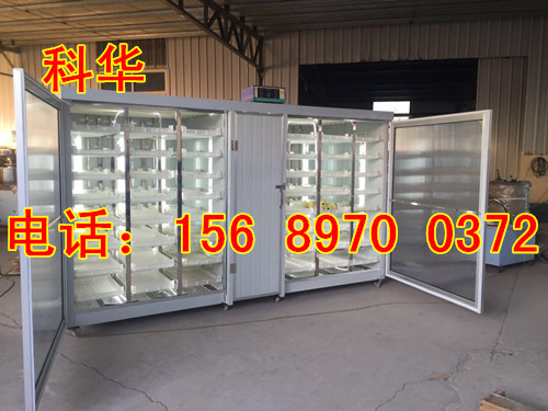 全自動芽苗菜機器價格