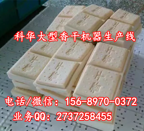 全自動豆干機器多少錢