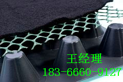 专业排水塑料板厂家