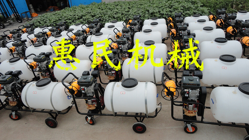 机动汽油喷雾器水稻喷药机汽油喷雾器厂家直销