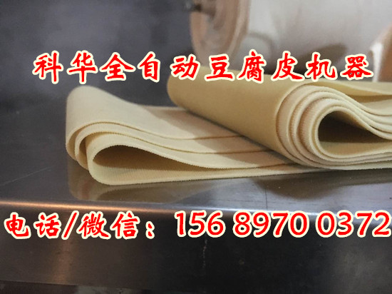 豆腐皮機器廠家