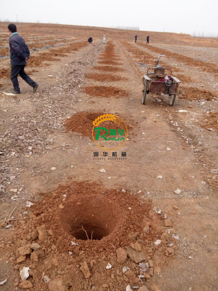 长沙 挖坑机参数 采购挖坑机