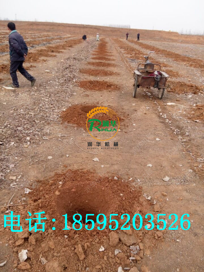 德阳 果树种植挖坑机