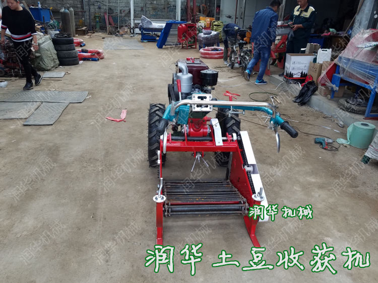 汽油机带的大蒜收获机 商丘 轻便式土豆收获机