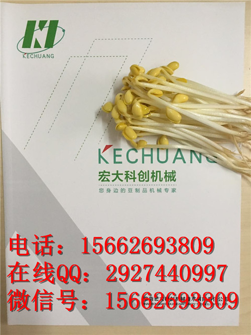 漯河全自动水表豆芽价格绿豆芽生产设备中型机械电表控制器图片