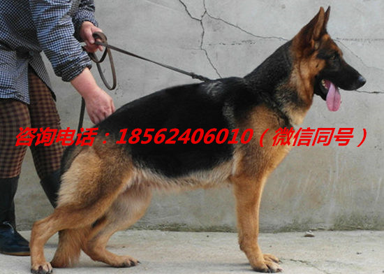 简阳市有多少人口_简阳市人民医院图片(3)