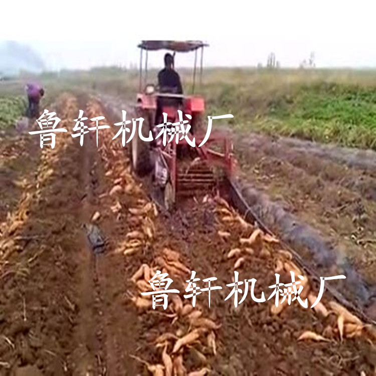 土豆收获机 收挖地瓜土豆机器 高效挖屈土豆机