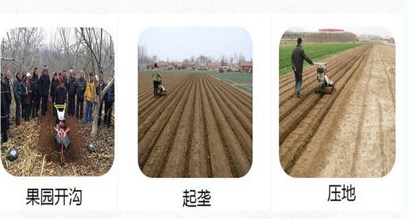 国家专利田园管理机 永吉县 葡萄埋藤田园管理机