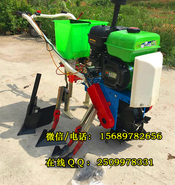 精量播种机 玉米汽油播种机 谷子播种机厂家