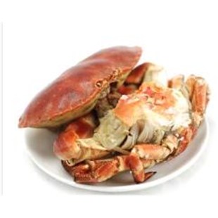 海鲜进口专业清关公司\/青岛港海鲜进口需要提