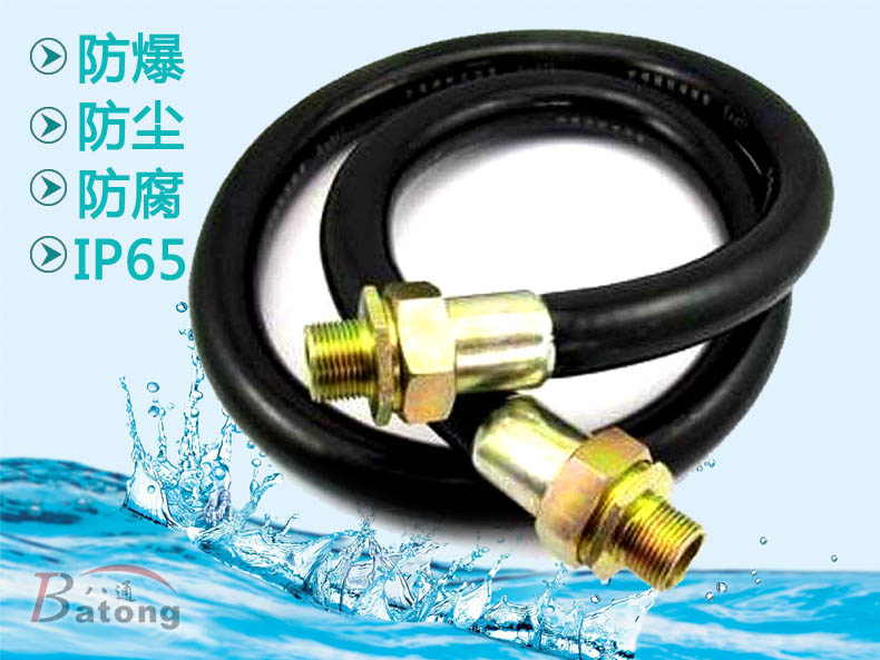 BNG-50X500防爆撓性連接管