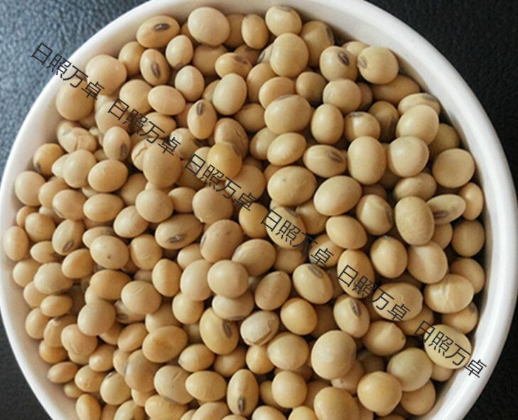 大豆批發(fā)多少錢(qián)一噸 大豆批發(fā)供應(yīng)商