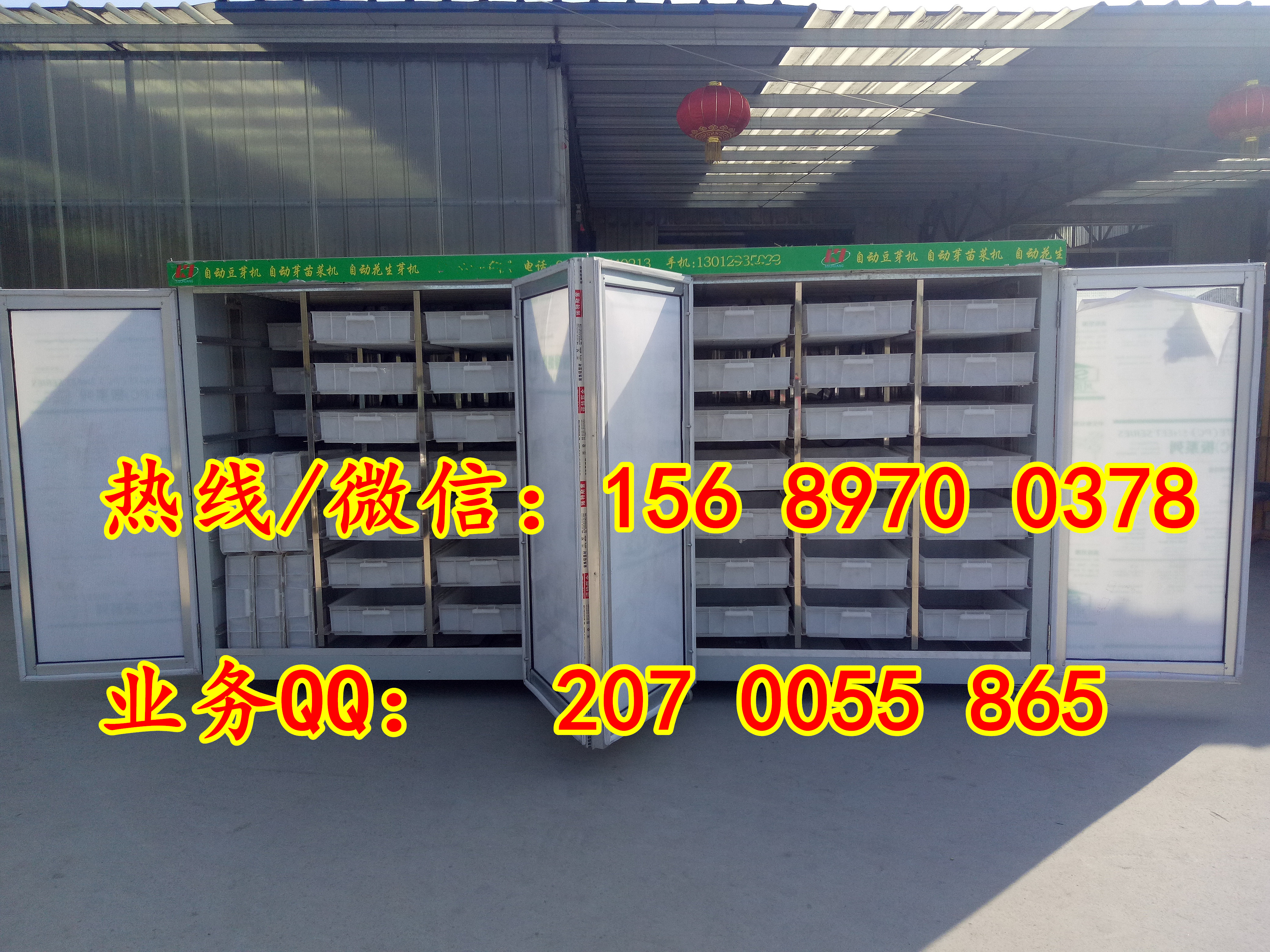 全自動(dòng)大型芽苗菜機(jī)器、多功能芽苗菜機(jī)、聯(lián)浩機(jī)械專業(yè)芽苗機(jī)生產(chǎn)廠