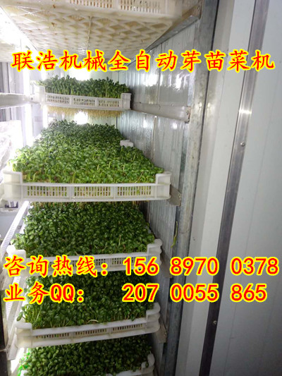 全自動(dòng)芽苗菜機(jī)