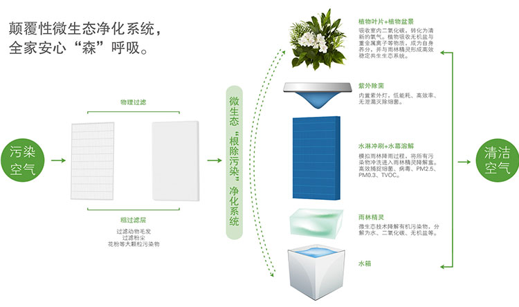 定量秤与空气净化器好还是植物净化好