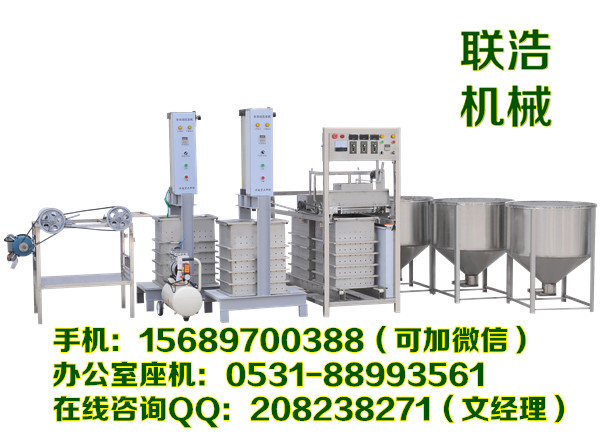 新型全自動豆腐皮機(jī)