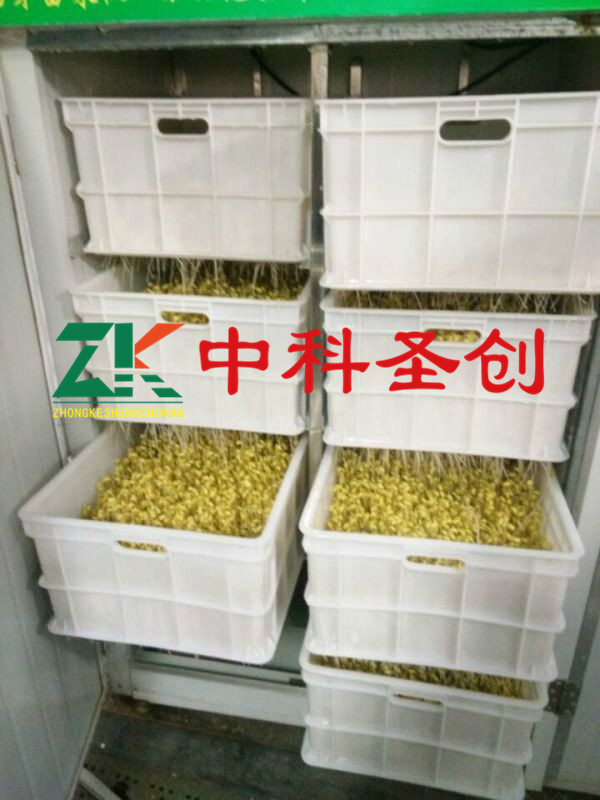 生豆芽机|山东豆芽机厂家