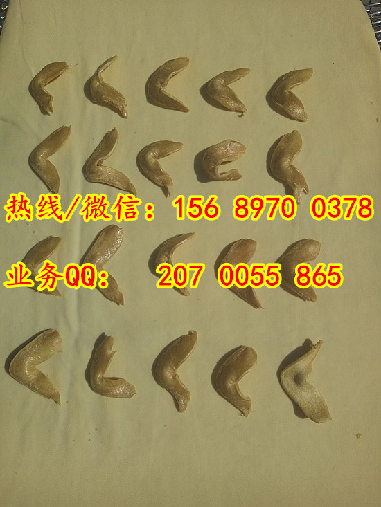 全自動牛排豆皮機器：15689700378