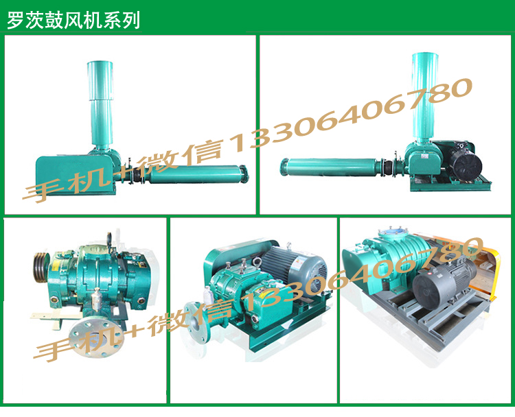 國產(chǎn)羅茨鼓風機型號SR125功率18.5千瓦介紹
