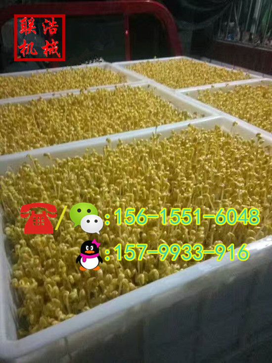 河池多功能豆芽机|大型豆芽机多少钱一台|生豆芽机哪个牌子好