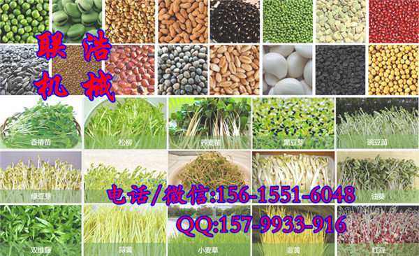 巢湖豆苗机多少钱一套/全自动豆苗机哪里买/联浩机械芽苗菜机价格