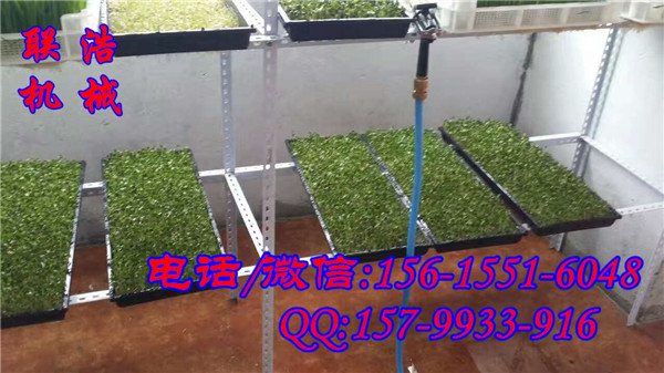 巢湖豆苗机多少钱一套/全自动豆苗机哪里买/联浩机械芽苗菜机价格