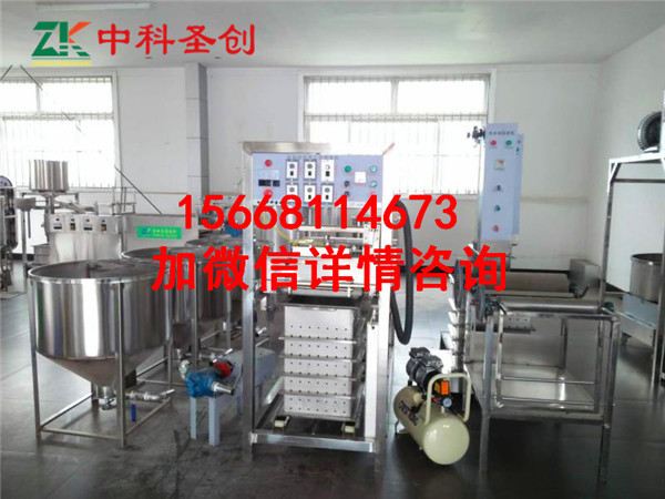 中科仿手工豆腐皮機(jī)