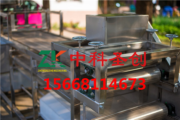 小型干豆腐機(jī)
