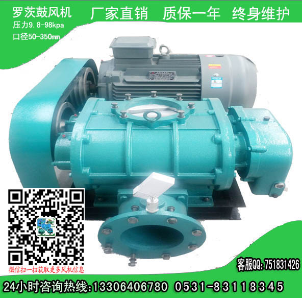 天然氣管道增壓羅茨鼓風(fēng)機(jī)廠家推薦