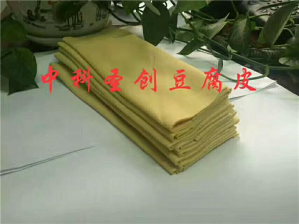 小型豆腐皮機(jī)