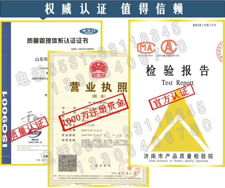 除塵器粉煤灰輸送羅茨鼓風(fēng)機(jī)生產(chǎn)廠家