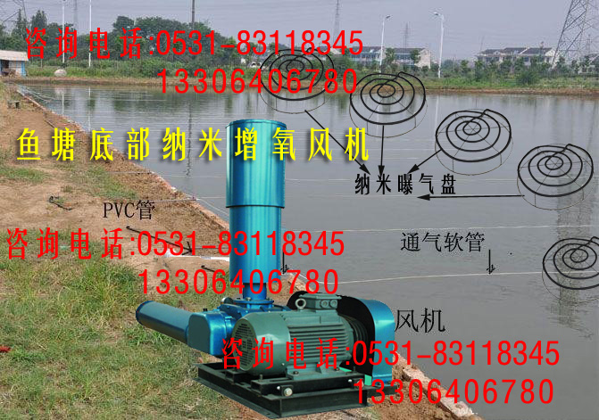 大連魚蝦蟹海參增氧機(jī)羅茨風(fēng)機(jī)