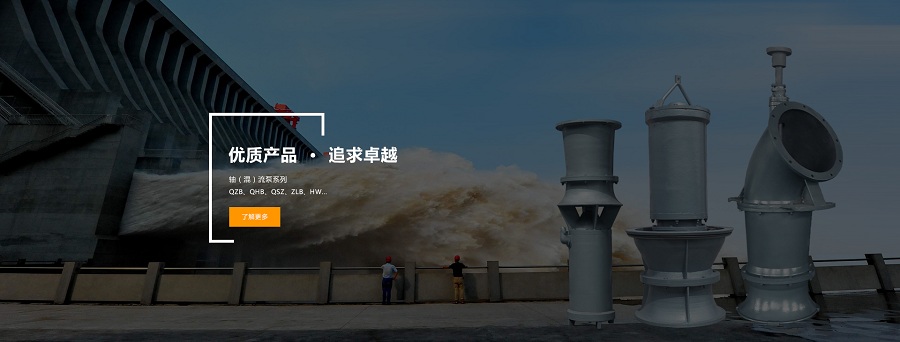 供水工程潛水軸流泵