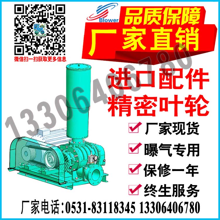 浙江嘉興HLSR150H污水曝氣風(fēng)機(jī)廠家|8米深池子曝氣羅茨鼓風(fēng)機(jī)