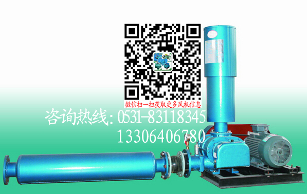 浙江污水曝氣羅茨風(fēng)機(jī)廠家直銷