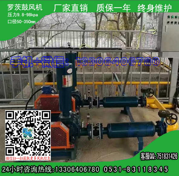 浙江污水曝氣羅茨風(fēng)機(jī)廠家直銷