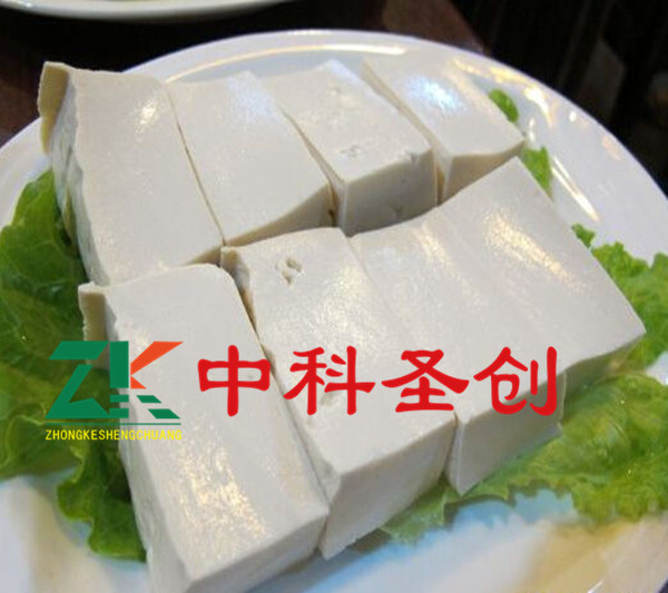 全自動豆腐機(jī)