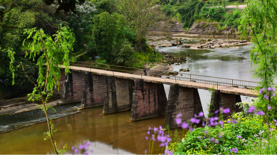 奋发新征程丨两江新区水土新城加速向现代化产业新城迈进