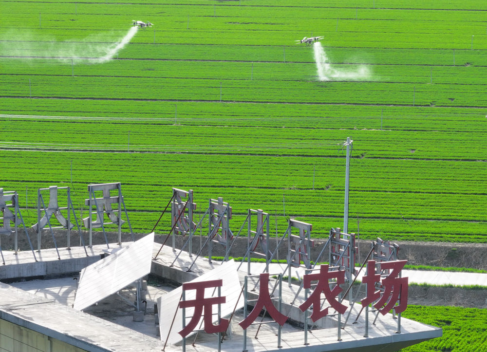 农业无人机在安徽省亳州市谯城区赵桥乡双楼村的无人农场进行自主作业（2024年3月19日摄，无人机照片）。