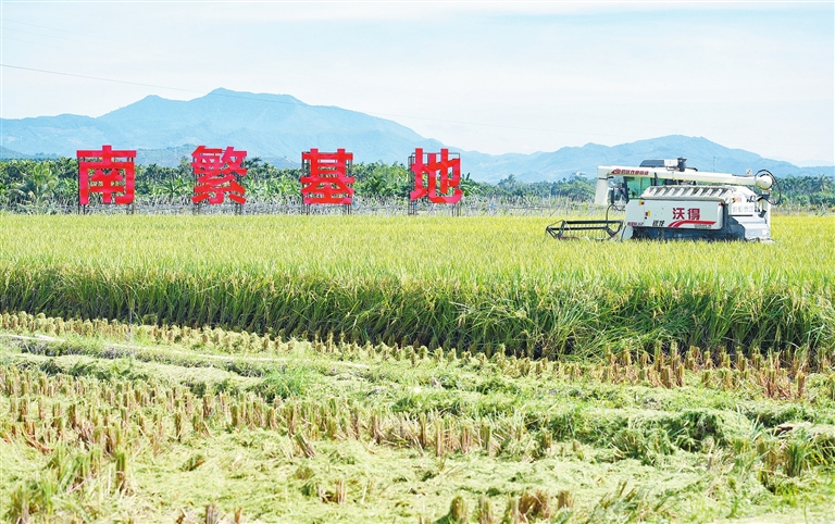 打造南繁硅谷端稳中国饭碗