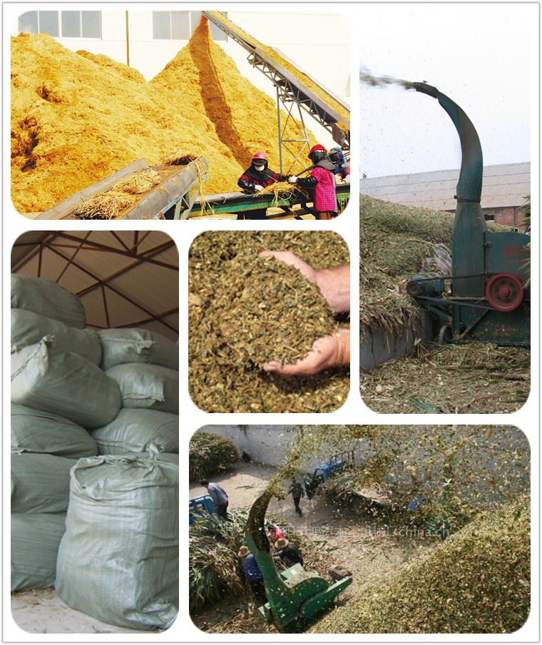 玉米秸秆腐熟剂的应用效果研究