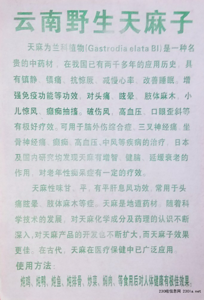 天麻子沈阳展会野生天麻子批发