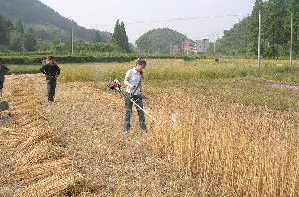 20140912142750415041.jpg