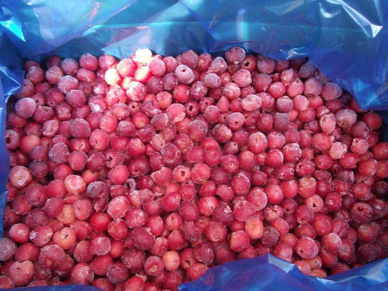 冷冻樱桃进口报关l